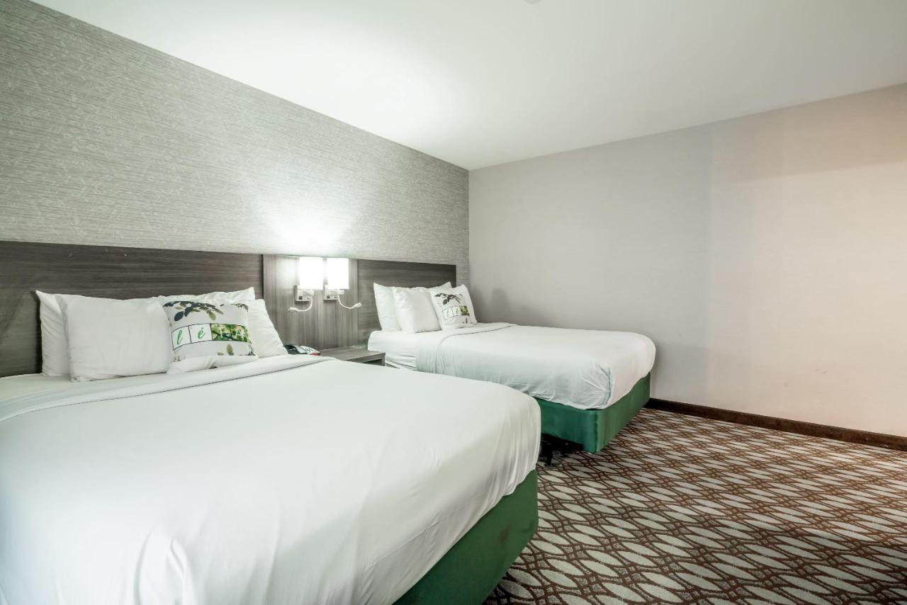 Letap Hotel Near Airtrain Jfk Airport Ню Йорк Екстериор снимка
